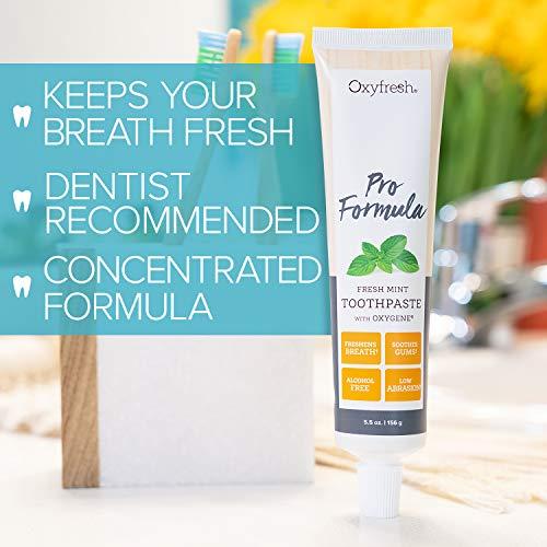 Oxyfresh Pro Formula Fresh Mint Toothpaste Gentle Low Abrasion